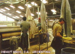 Trinchado