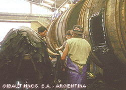 Tintado