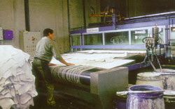 Pintado